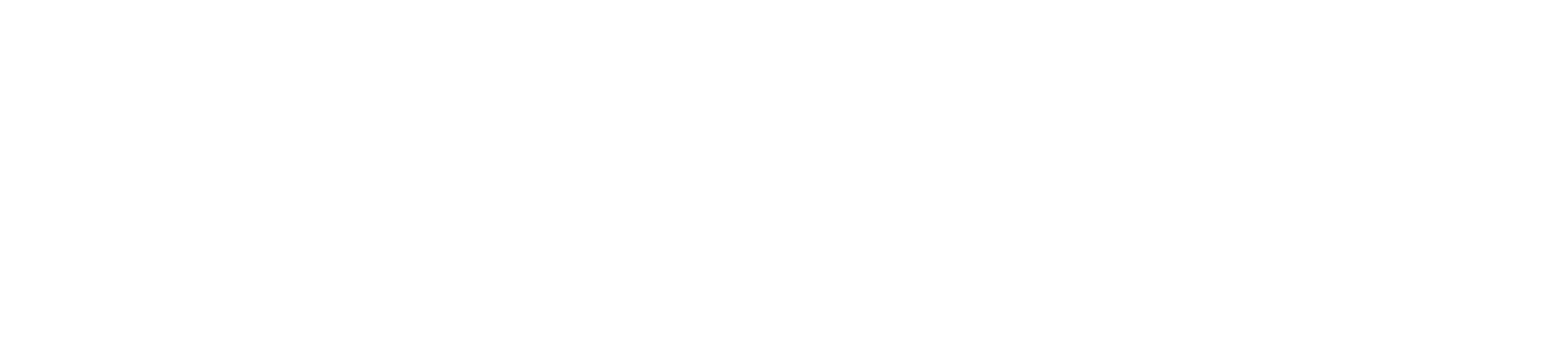 Safenet MSP